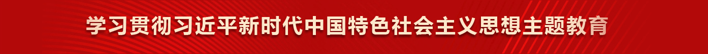 学习贯彻习近平新时代中国特色社会主义思想主题教育